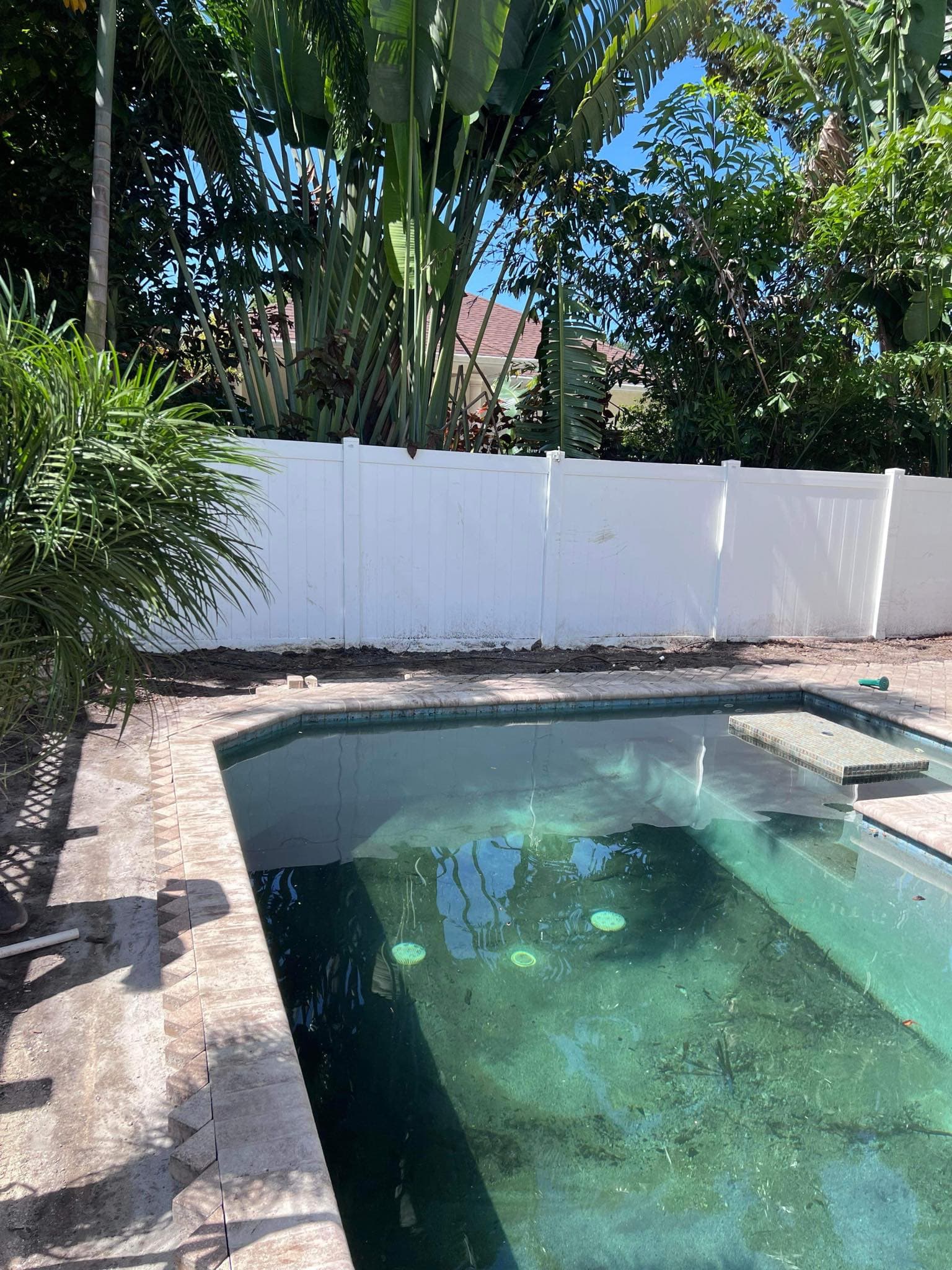 Pool Area Landscaping project photo 2 — Extraordinary Outdoor Spaces