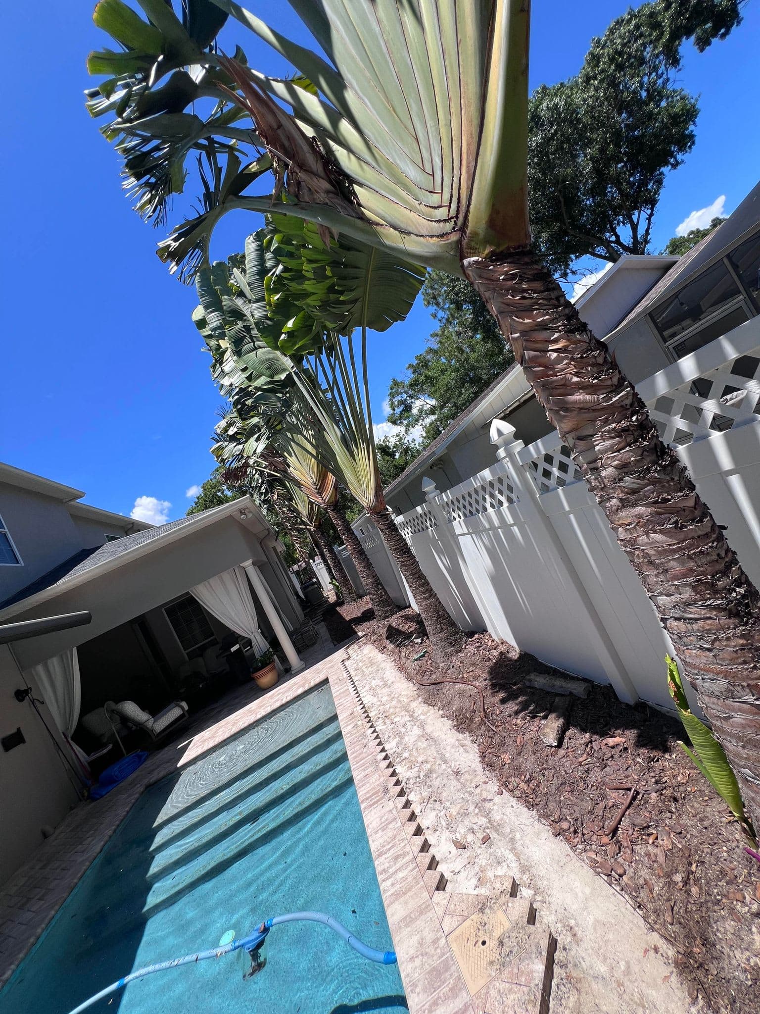 Professional Pool landscaping and pool surround in Highpoint