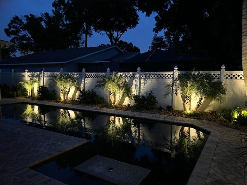 LED Outdoor lighting accent on Mango landscape by Extraordinary Outdoor Spaces