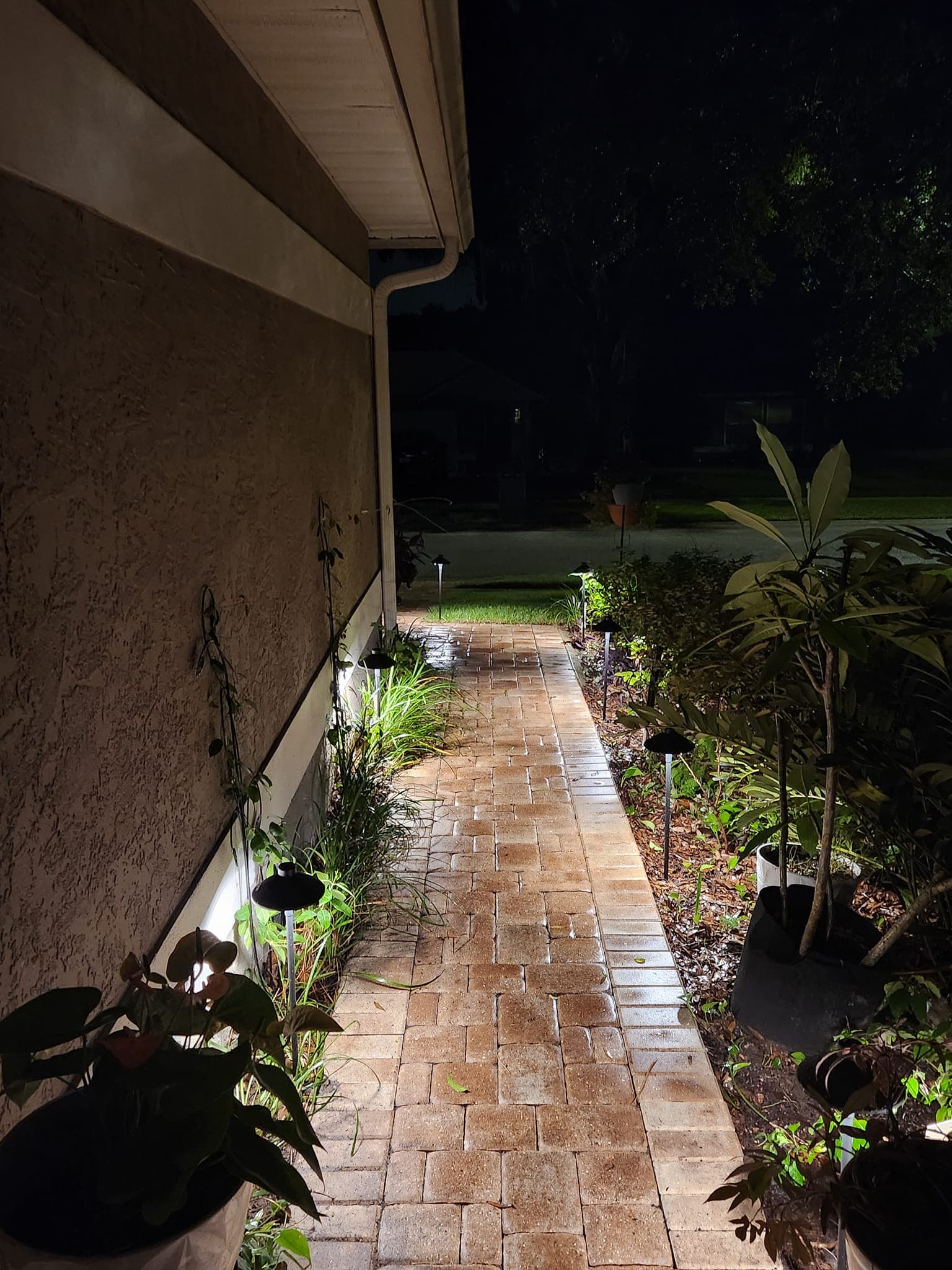 Outdoor Lighting project photo 6 — Extraordinary Outdoor Spaces